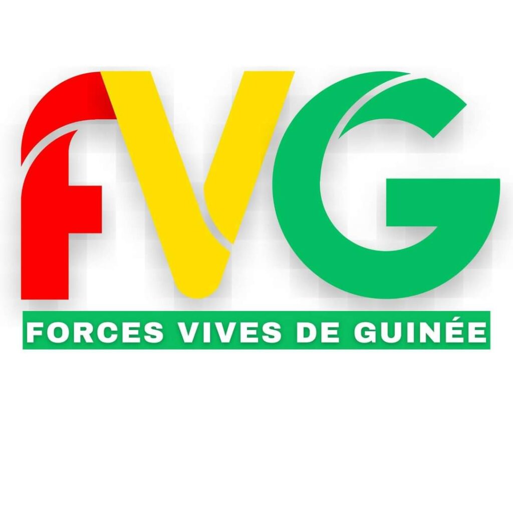 Sortie du PM Amadou Oury Bah sur RFI : Les Forces Vives De Guinée exigent au CNRD de respecter l’accord conclu avec la CEDEAO!