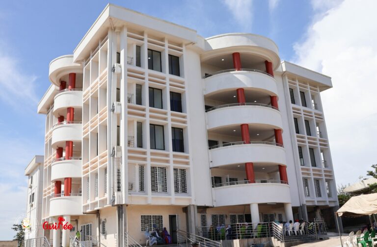 Guinée : Une vague de remaniements au ministère de l’Information et de la Communication ( décret )