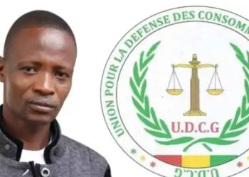 Perturbation du réseau téléphonique en Guinée : le président de l’UDCG monte au créneau et exige la réparation des préjudices !