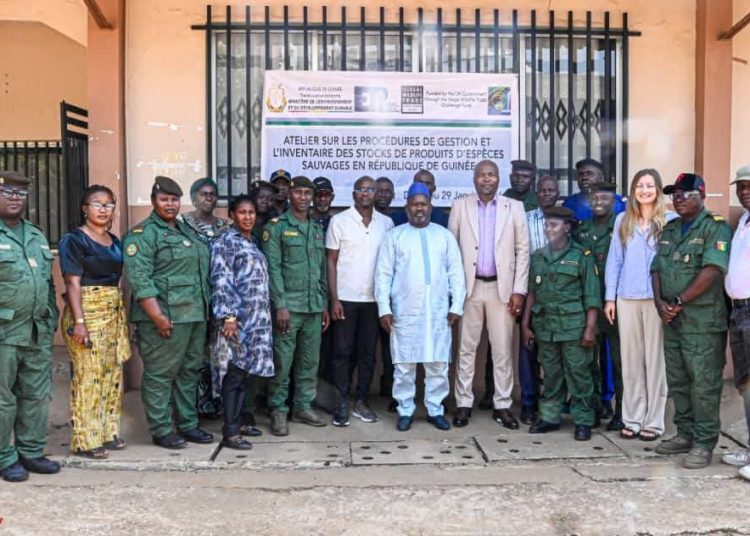 Lutte contre la criminalité environnementale : Le MEDD professionnalise la gestion des stocks de produits de faune sauvage. 