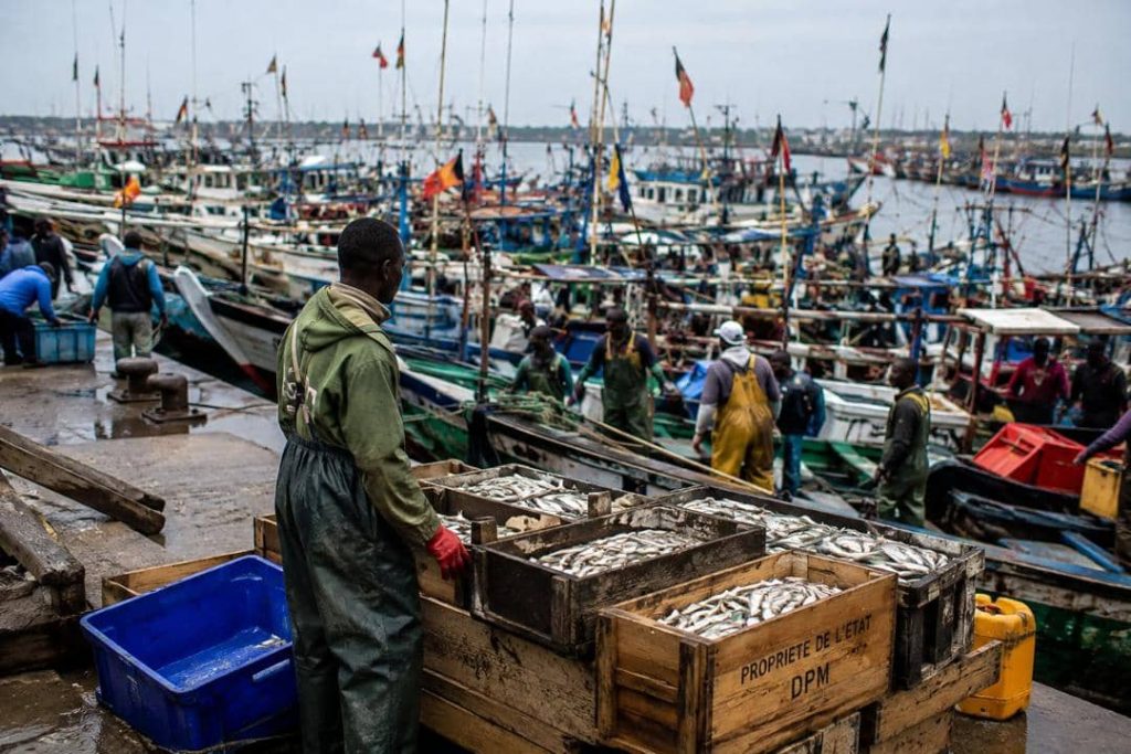 Guinée : Fin du repos biologique, la pêche industrielle et semi-industrielle reprend ce 1er septembre